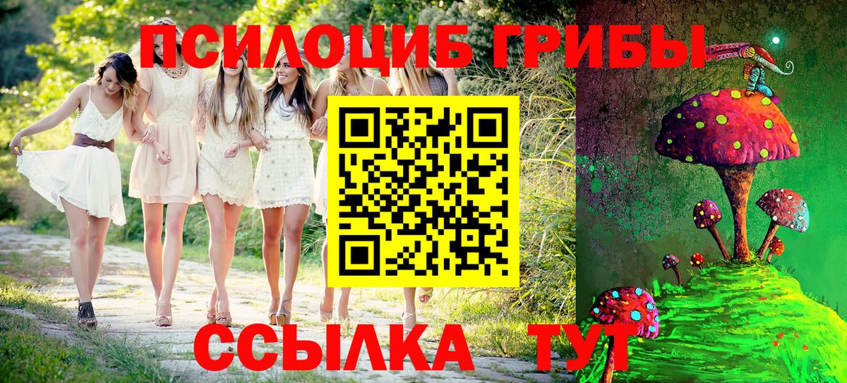 Тихорецк  Галлюциногенные грибы мицелий  Вход с VPN 